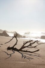 Asmi EARTH Perfume Oil – Natural Ayurveda Perfume Oil Rosewood & Neem - Image 4